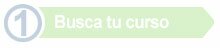 Busca el curso que te interese