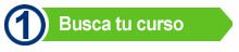 Busca el curso que te interese